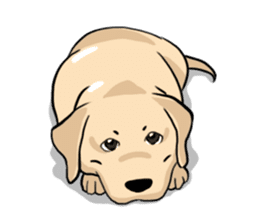 Joey the Labrador Retriever sticker #6017239