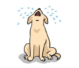 Joey the Labrador Retriever sticker #6017246