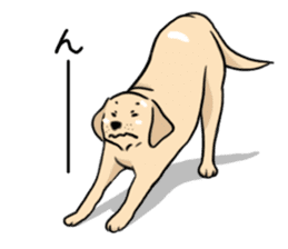 Joey the Labrador Retriever sticker #6017247
