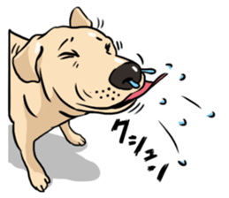 Joey the Labrador Retriever sticker #6017248