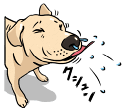 Joey the Labrador Retriever sticker #6017248