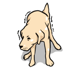 Joey the Labrador Retriever sticker #6017250