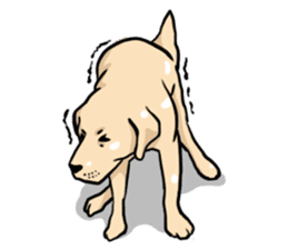 Joey the Labrador Retriever sticker #6017250