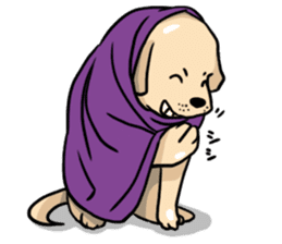 Joey the Labrador Retriever sticker #6017252