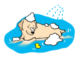 Joey the Labrador Retriever sticker #6017254