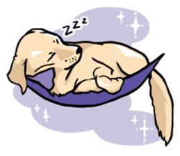 Joey the Labrador Retriever sticker #6017256