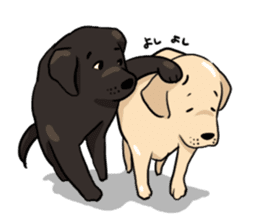 Joey the Labrador Retriever sticker #6017258