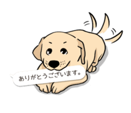 Joey the Labrador Retriever sticker #6017261