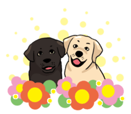 Joey the Labrador Retriever sticker #6017263