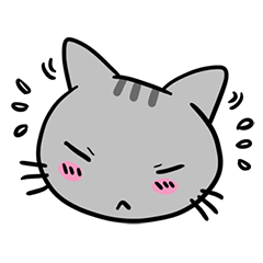 Tao Tao the funny cat