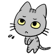 Tao Tao the funny cat sticker #6017746