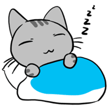 Tao Tao the funny cat sticker #6017747