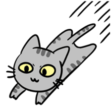 Tao Tao the funny cat sticker #6017755