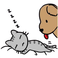 Tao Tao the funny cat sticker #6017757