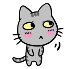 Tao Tao the funny cat sticker #6017760