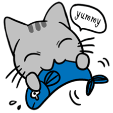 Tao Tao the funny cat sticker #6017766