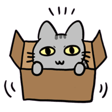 Tao Tao the funny cat sticker #6017774