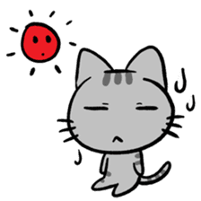 Tao Tao the funny cat sticker #6017780