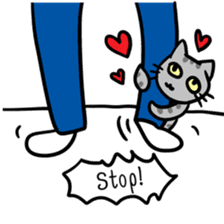 Tao Tao the funny cat sticker #6017781