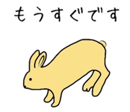 various animals Sticker sticker #6021119