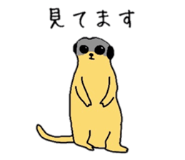 various animals Sticker sticker #6021122