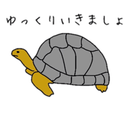 various animals Sticker sticker #6021123