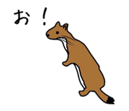 various animals Sticker sticker #6021128