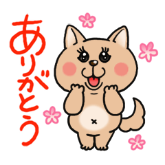 Daily life of Coco and Lily