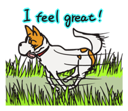 Capricious Leo Extra Edition ENG VER. sticker #6031161