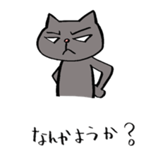 Cat always displeased face sticker #6031494