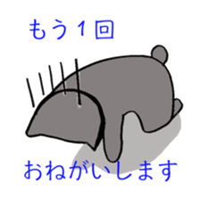 Cat always displeased face sticker #6031500