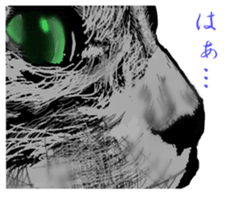 Real cat Series 2 sticker #6032224