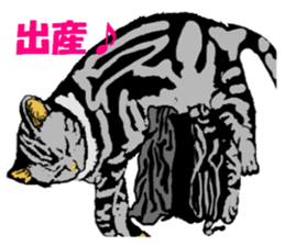 Real cat Series 2 sticker #6032225