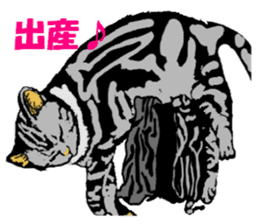 Real cat Series 2 sticker #6032225