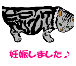 Real cat Series 2 sticker #6032226