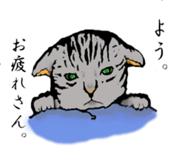 Real cat Series 2 sticker #6032227