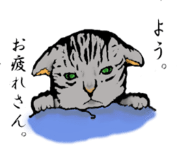 Real cat Series 2 sticker #6032227