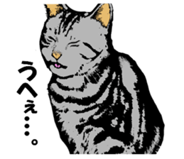 Real cat Series 2 sticker #6032230