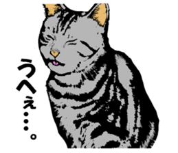 Real cat Series 2 sticker #6032230