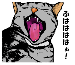 Real cat Series 2 sticker #6032231