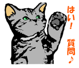 Real cat Series 2 sticker #6032233
