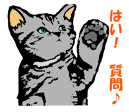 Real cat Series 2 sticker #6032233