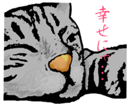 Real cat Series 2 sticker #6032234