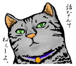 Real cat Series 2 sticker #6032236