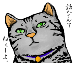 Real cat Series 2 sticker #6032236