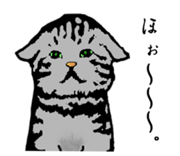 Real cat Series 2 sticker #6032240