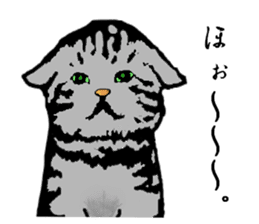 Real cat Series 2 sticker #6032240