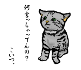 Real cat Series 2 sticker #6032241