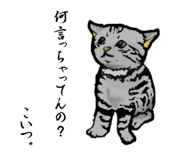 Real cat Series 2 sticker #6032241