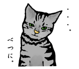 Real cat Series 2 sticker #6032242